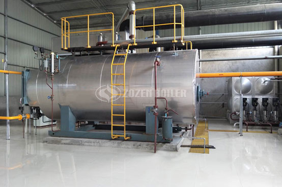 1.4MW WNS系列燃?xì)鉄崴仩t項目