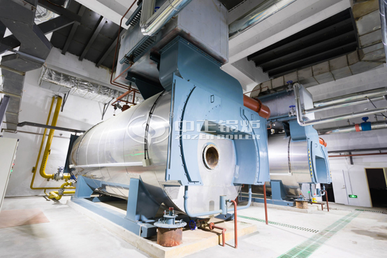 10.5MW WNS系列冷凝式燃?xì)鉄崴仩t項目（威立雅熱電）