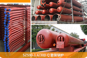 中正鍋爐為確保鍋爐項目順利展，向巴基斯坦提供了專業(yè)的技術(shù)指導(dǎo)